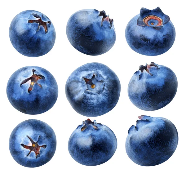 Zbieranie Jagód Białym Tle Innym Kątem Blueberry Owoce Białym Tle — Zdjęcie stockowe