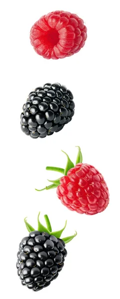 stock image Isolated flying berries. Blackberry and raspberry fruits isolated on white background with clipping path