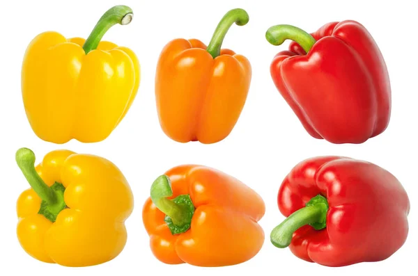 收集不同的甜椒 在白色背景查出的黄色 红色辣椒 — 图库照片