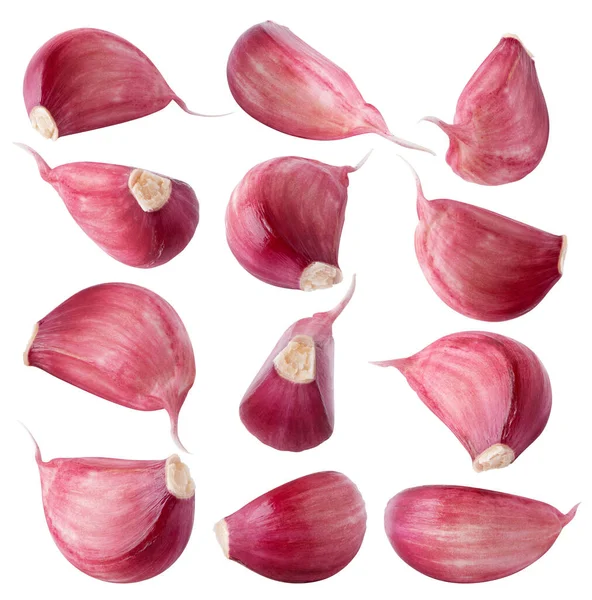 Collection Garlic Segments Different Shapes Fresh Garlic Segment Isolated White Stock Picture