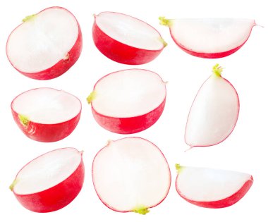 Turp koleksiyonu. Çiğ turp yarısı, dilimler ve parçalar kesme yolu ile beyaz arka planda izole
