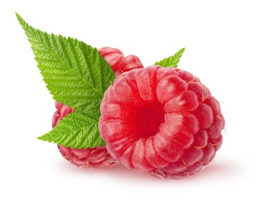 Isolated berries. Two fresh raspberry fruits with leaves isolated on white background with clipping path clipart