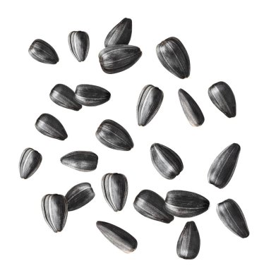 İzole edilmiş uçan siyah ayçiçeği çekirdekleri. Havadaki ayçiçeği tohumları kesme yolu ile beyaz zemin üzerinde izole