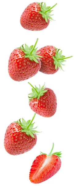 Vereinzelte Erdbeeren Fallende Erdbeerfrüchte Isoliert Auf Weißem Hintergrund Mit Schnittpfad — Stockfoto