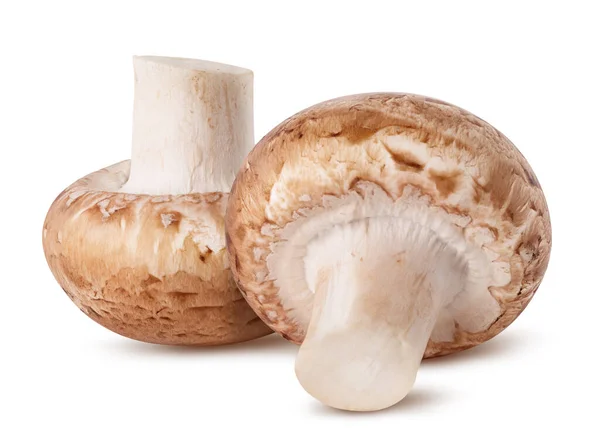 Vereinzelte Pilze Zwei Frische Champignon Pilze Isoliert Auf Weißem Hintergrund — Stockfoto