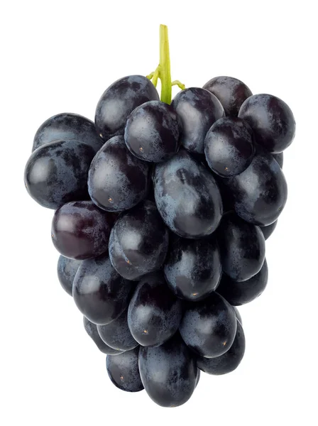 Geïsoleerde Druiven Bunch Van Donkerrode Druiven Fruit Geïsoleerd Witte Achtergrond — Stockfoto