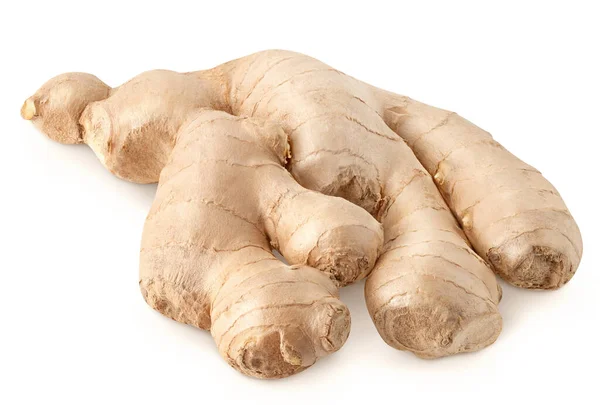 Raw Ginger Root Isolated White Background Clipping Path — Stock Photo, Image