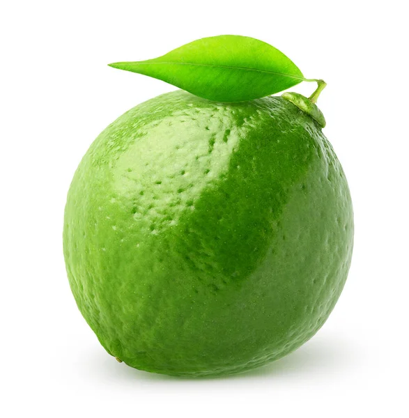 Frutta Intera Lime Isolata Frutto Tiglio Singolo Con Foglia Isolata — Foto Stock