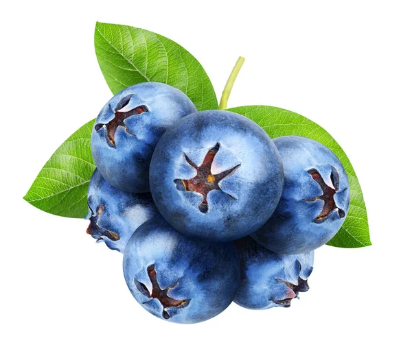 孤立的蓝莓 一捆甜的蓝莓果实与叶隔离在白色背景 剪裁路径 — 图库照片