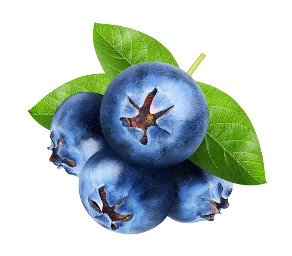 孤立的蓝莓 一捆甜的蓝莓果实与叶隔离在白色背景 与剪裁路径 — 图库照片