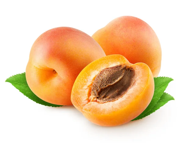 stock image Isolated apricots. Two whole apricot fruit and half with leaves isolated on white background with clipping path