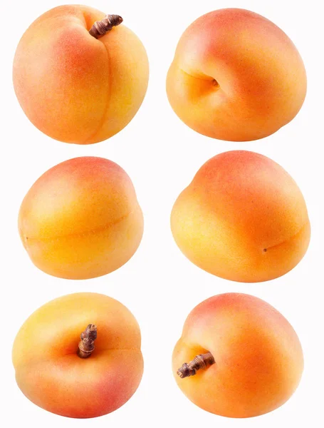 Collectie Van Verschillende Abrikoos Fruit Geïsoleerd Wit Met Uitknippad — Stockfoto