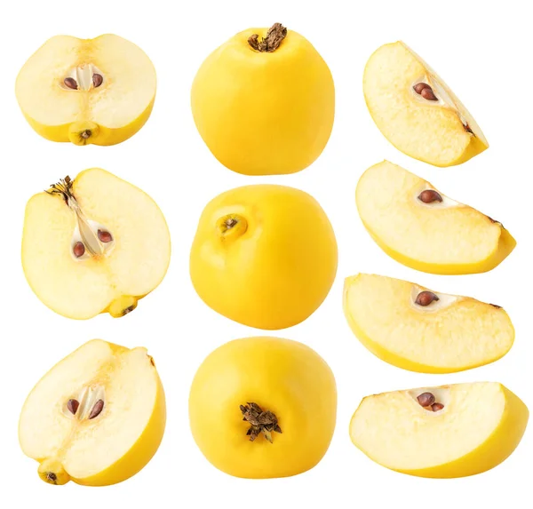 Geïsoleerde Kweepeer Collectie Quince Stukjes Fruit Van Verschillende Vormen Geïsoleerd — Stockfoto
