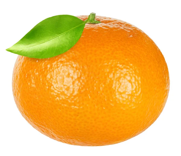 Geïsoleerde Mandarijn Eén Citrusvrucht Geïsoleerd Witte Achtergrond Tangerine Mandarijn Clementine — Stockfoto