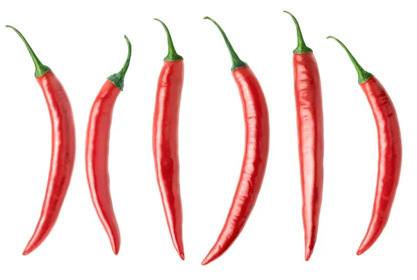 Isolierte Paprika Sammlung Von Roten Paprika Isoliert Auf Weißem Hintergrund — Stockfoto