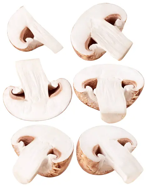 Odizolowane Grzyby Kolekcja Świeżych Plastrów Grzyba Champignon Kawałków Izolowanych Białym — Zdjęcie stockowe