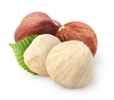 İzole edilmiş fındık. İki çiğ ve iki soyulmuş fındık, beyaz arka planda izole edilmiş.