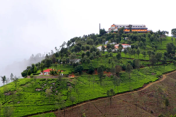 mountain village and green hills with trees.