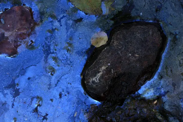 Eski buhar lokomotifi açık trenin büyük bir kısmına sahipti.