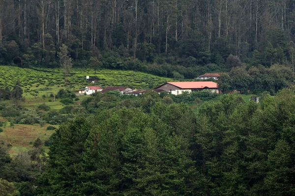 Mutlu bir tatil güzel bir ziyaretle başlar. Ve bahçe ve ormanla çevrili ev onu çok daha unutulmaz kılıyor.