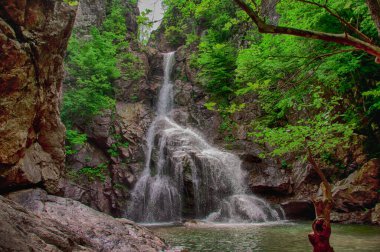 Erikli Yalova Türkiye 'den şelale ve ağaçlar