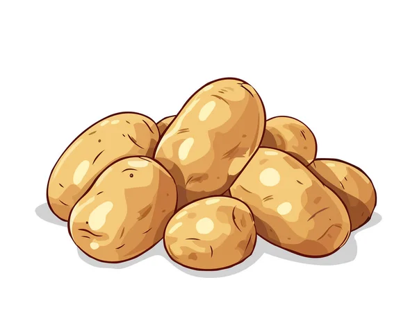 Batatas Cruas Fundo Branco Ilustração Vetor Batatas Cruas Frescas Não — Vetor de Stock