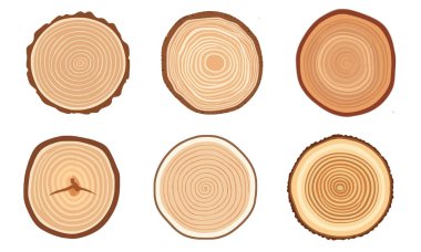 Ağaç gövdesi halkaları. Ağaç halkalı ahşap elementler. ahşap kesimi koleksiyonu
