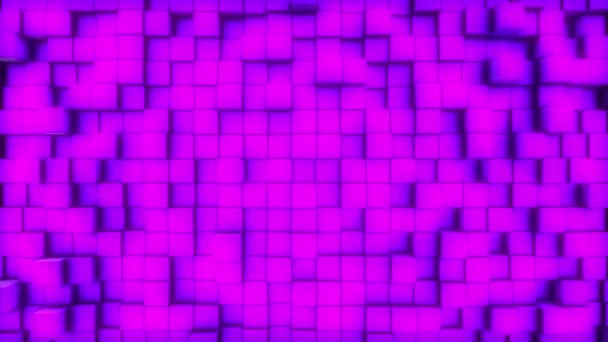 Cubos Superficie Movimiento Bucle Vídeo Rosa Fondo Fucsia Púrpura Cuadrados — Vídeo de stock