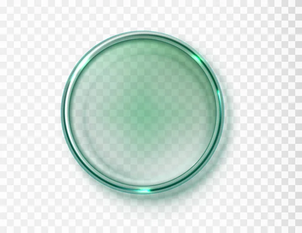 在透明的背景下隔离的空培养皿 现实的绿色玻璃圆形展品 矢量说明 — 图库矢量图片