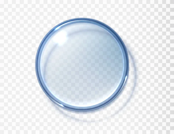 Placa Petri Vista Superior Isolado Transparente Concepção Realista Testes Laboratório — Vetor de Stock