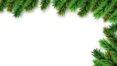 Noel sınırında boş arka planda izole edilmiş köknar dalları var. Festivalsel tasarım için Xmas ögesi