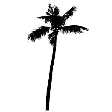 Palmiye ağacı düz vektör tasarımı