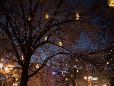Zmaj Jova caddesinde Novi Sad kış süslemesi