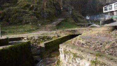 Parktaki bir derenin üzerinden uçan kuş.