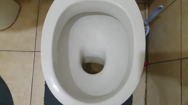 Urinating European Styled Toilet — Stockvideo