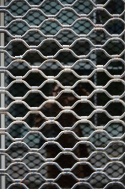 Window of a object with bars and glass window behind it concept abstract background 