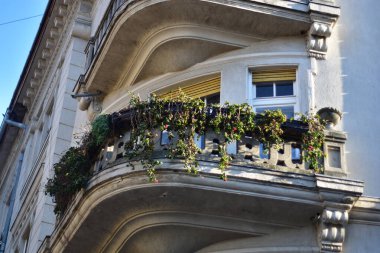Hungarian style plant covered old terrace