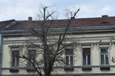 Hungarian architecture building with a tree in front of it 