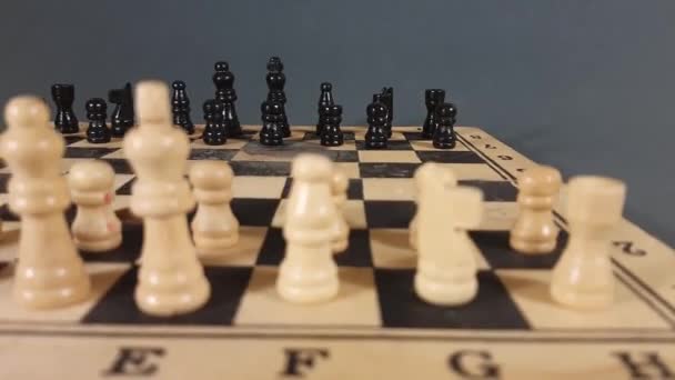 Σκακιέρα Εστίαση Μαύρες Φιγούρες — Αρχείο Βίντεο