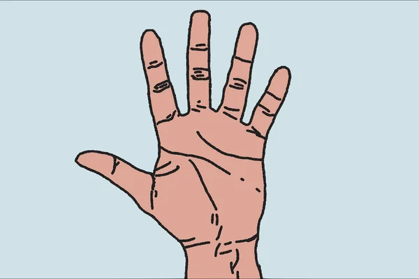 Ilustração Mão Levantada Com Dedos Espalhados — Fotografia de Stock