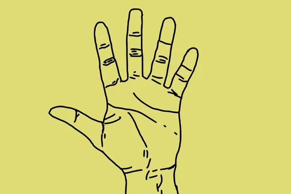 Hand illustration raised up with fingers spread