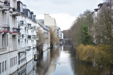 Hamburg 'da kanal ve yüzen ördekler