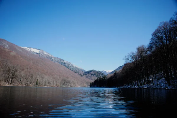 在一个自然公园的湖里过冬 — 图库照片