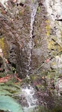 Ormanın içinde buzlu küçük şelale 