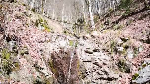 Маленький Водопад Скалах Лесу — стоковое видео