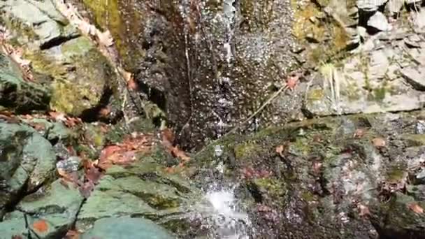 Kleiner Wasserfall Auf Den Felsen Wald — Stockvideo
