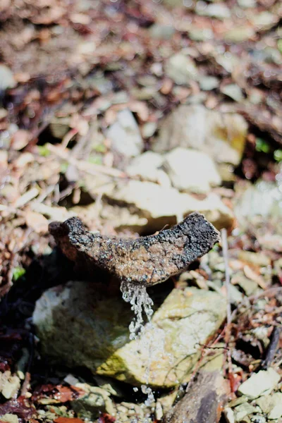 Petite Cascade Printanière Dans Les Bois — Photo