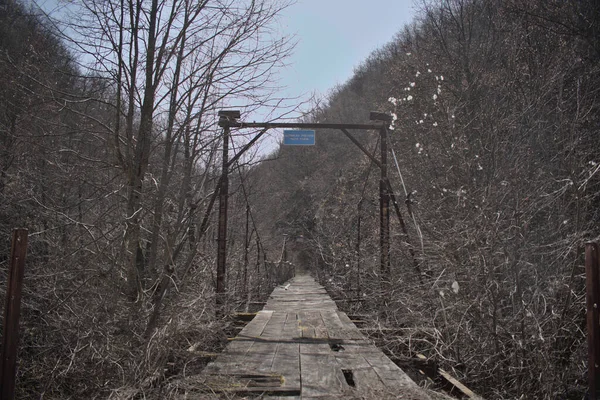 Stary Zniszczony Most Lesie — Zdjęcie stockowe