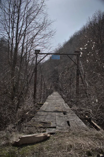 Stary Zniszczony Most Lesie — Zdjęcie stockowe