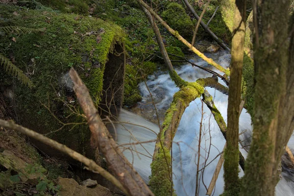 Tuyau Recouvert Mousse Qui Crée Une Cascade Dans Les Bois — Photo